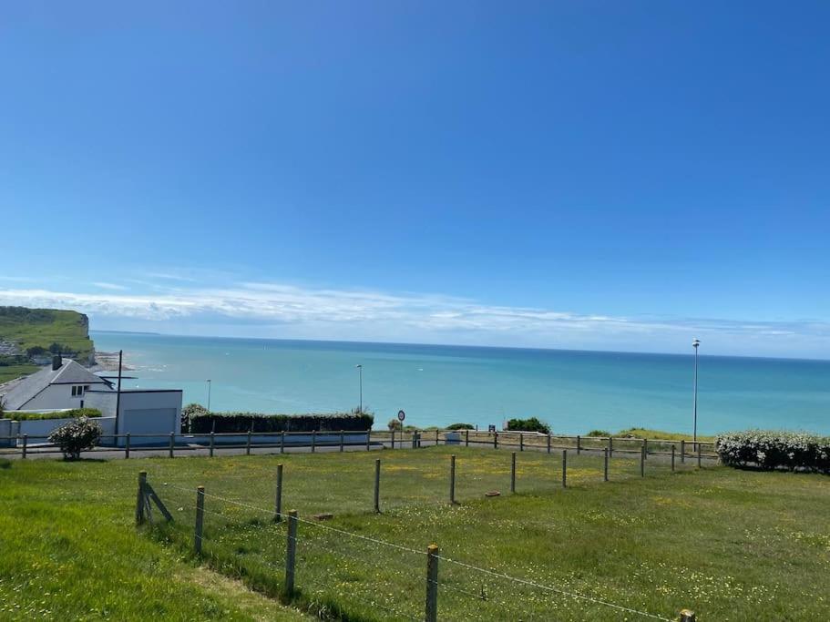 Grande Maison Chaleureuse Avec Vue Mer Imprenable Criel-sur-Mer Εξωτερικό φωτογραφία
